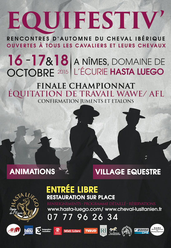 Affiche Equifestiv grande Affiche Equifestiv grande