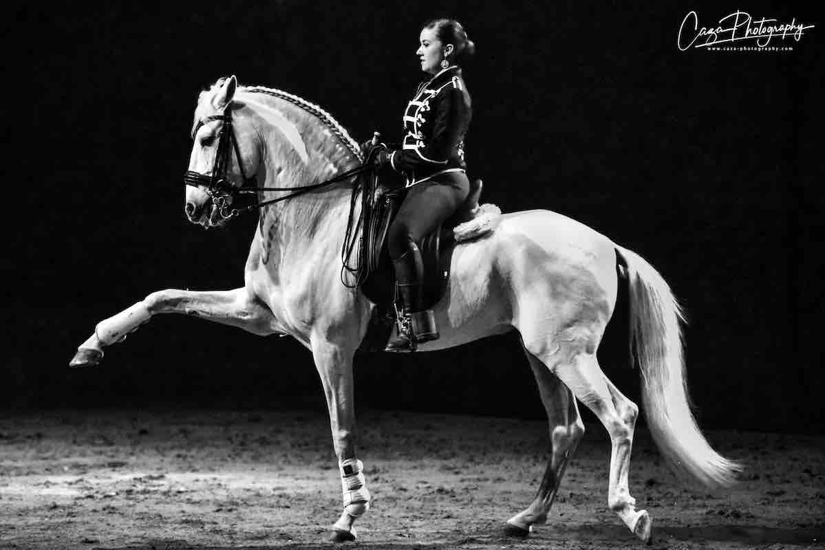 Stages dressage classique hasta luego nimes