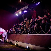 Gradins dans le manège