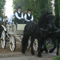 Promenade en calèche