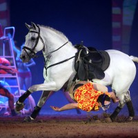 academie15