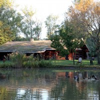 Etang Domaine de l'écurie Hasta Luego