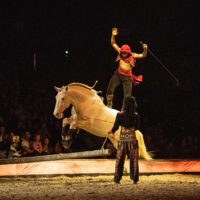 Cavalluna Show