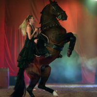 GOYA & CONSTANCE MANSERI