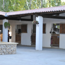 PATIO DES ECURIES PATIO DES ECURIES